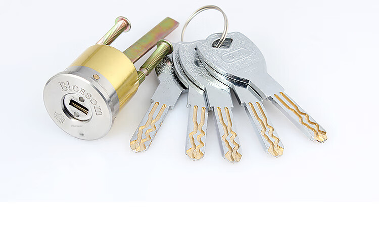 BLOSSOM Exterior Door Lock Cylinder C-Level Old-Style Iron Door Wooden Door Security Lock DFP03 12