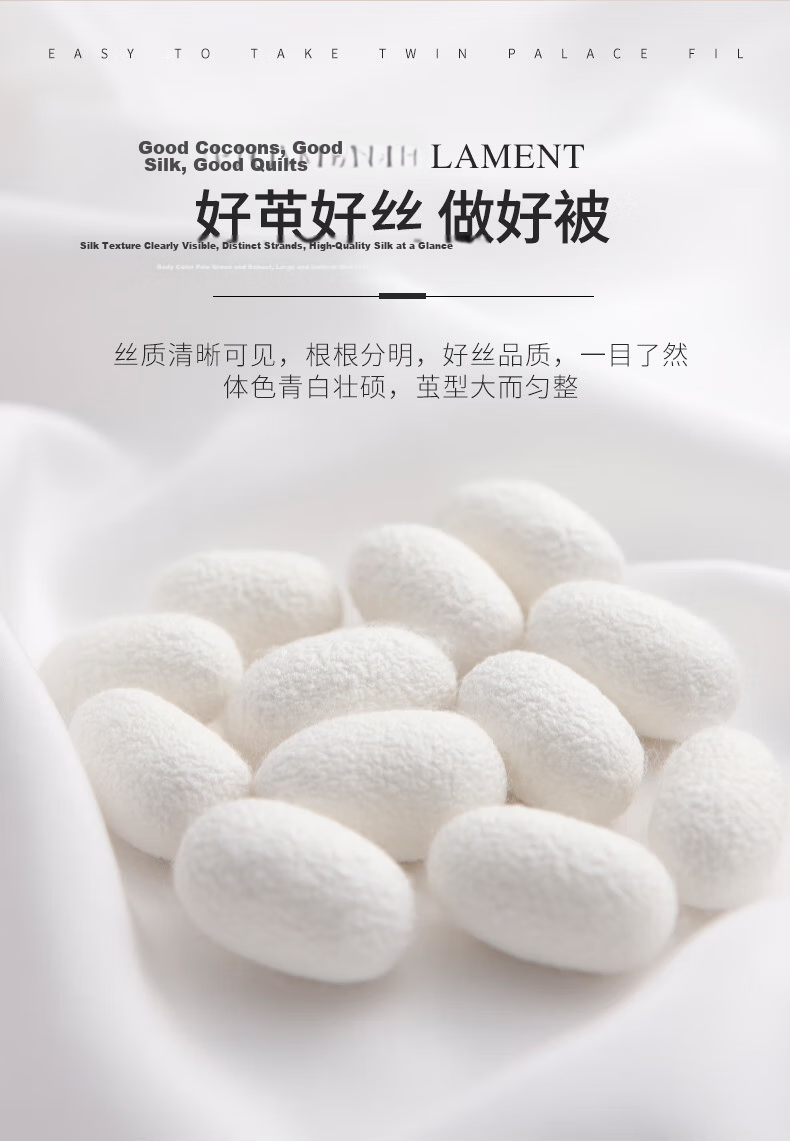 Wuyinliangpin Class A 100% Silk Duvet, Two-In Comforter with Inner Lining [Filling 1050g], 5 Jin (2.5kg), 150*200cm 2