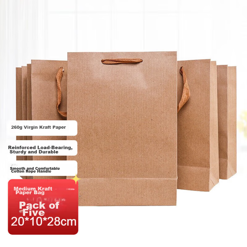 TaTanice Kraft Paper Bags 5-Pack Teacher's Day Gift Bags Holiday Gift Bags Birthday Gift Bags Small Handbags Storage Bags