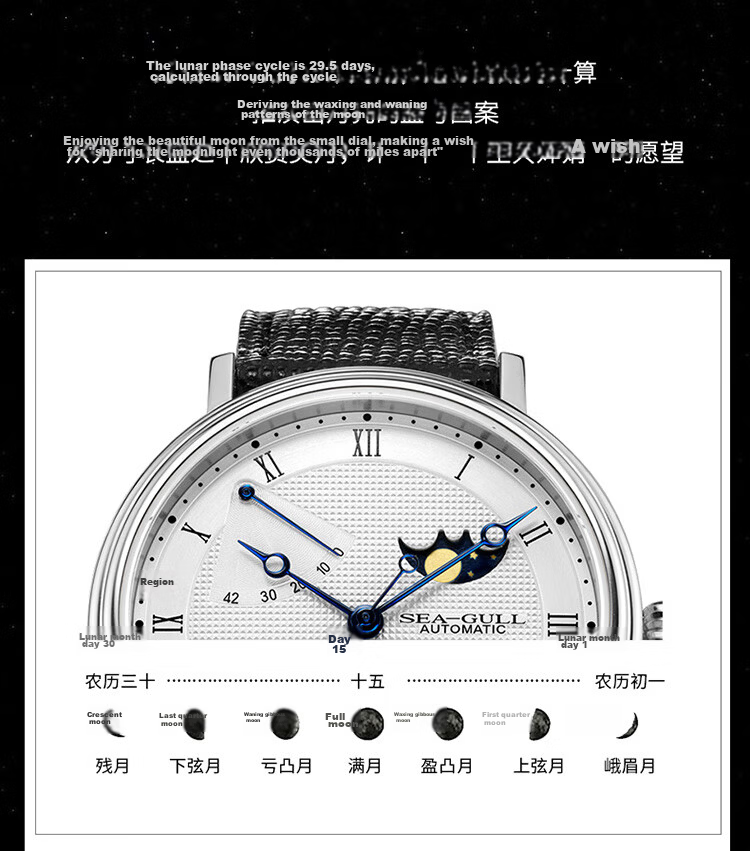 SEAGULL Men's Automatic Mechanical Watch Moon Phase Calendar Power Reserve 6092 Black Night Birthday Gift 7