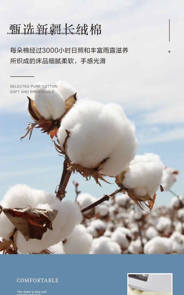Yuanshenghuo White Hotel Duvet Cover Single Piece, 60-Count Pure Cotton 100%, Dormitory White Quilt Cover Double Bed Sheet, 220*240cm 5