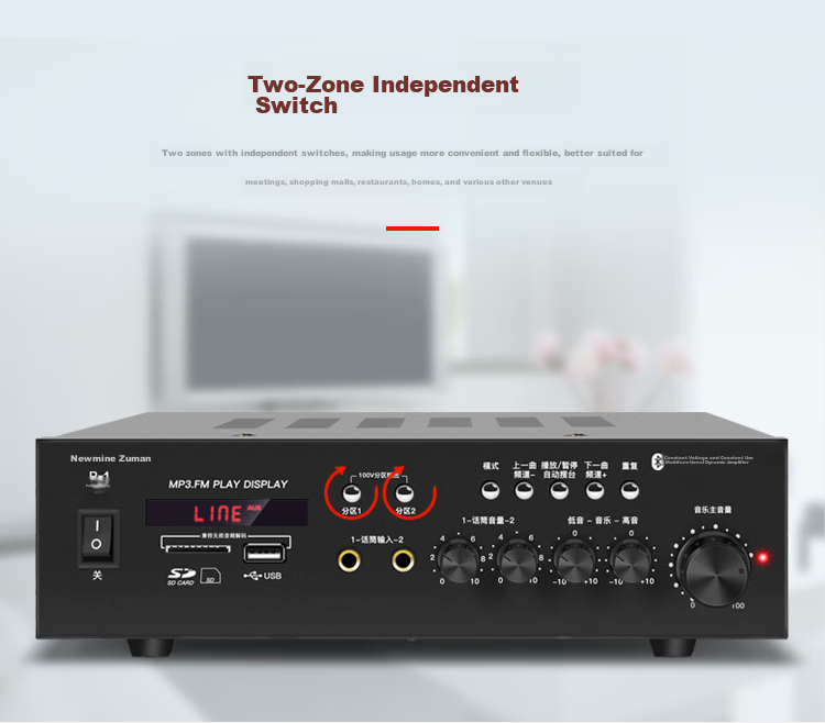 Newmine D16 Constant Voltage Amplifier, Ceiling Speaker System, Background Music Public Address System, Broadcasting Speaker Amplifier 3