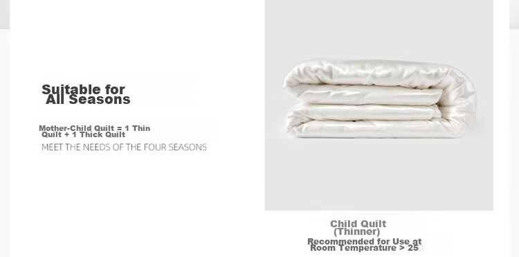 Mercury Home Textiles 100% Silk Quilt Winter Double Quilt Two-in-One Quilt Core Approx. 9 Jin 220×240cm 8