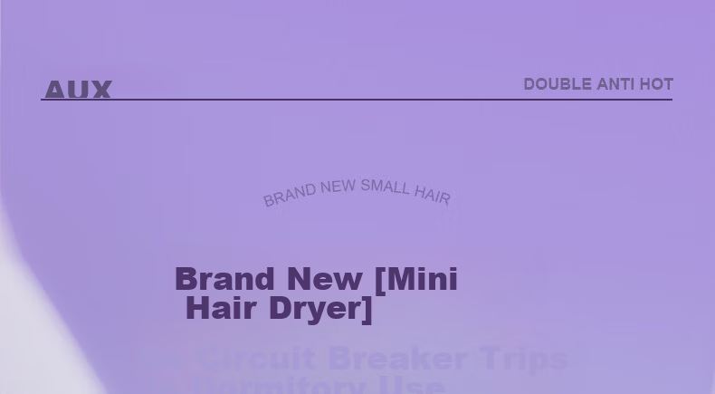 AUX Hair Dryer for Dormitory Use, Student 800W Low Power, Home Negative Ion Hair Protection, High Wind Speed Quick-Drying Electric Blower, Portable Mini Hair Dryer for Students' Dormitory, Graduation Season Gift 4