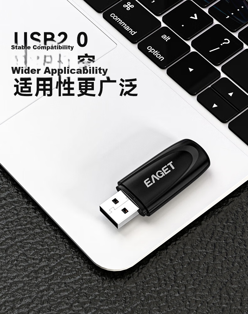 EAGET 8GB USB Flash Drive USB2.0 Bid Tender Mini USB Drive for Company Enterprise Bidding Portable Car Computer Phone Universal Thumb Drive F1 Thumb Drive 5