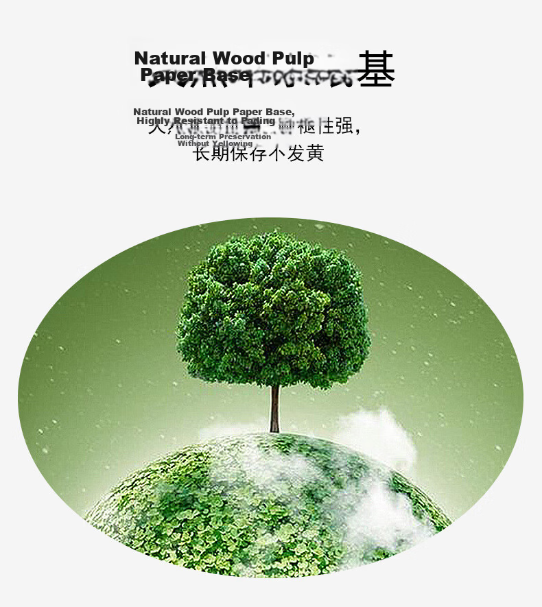 KODAK 4R/6 Inch 270g Waterproof RC Glossy Photo Paper Inkjet Printing Photo Paper 30 Sheets 4027-302 3