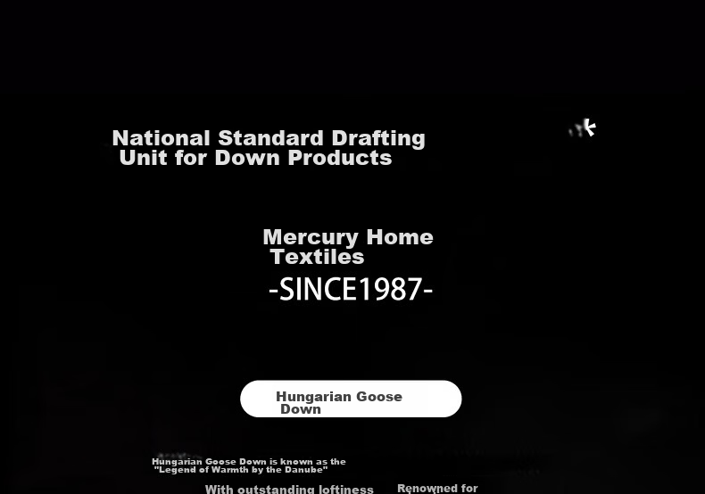 Mercury Home Textiles 95% White Goose Down Quilt Winter Thickened Warm Double Down Comforter 200×230cm-420g 1