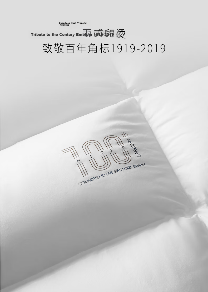 Canasin AFree Pure down Comforter, 95% Down, 120S Winter Duvet, Goose down Quilt, Weight 2.1 Jin, 200*230cm, White 15