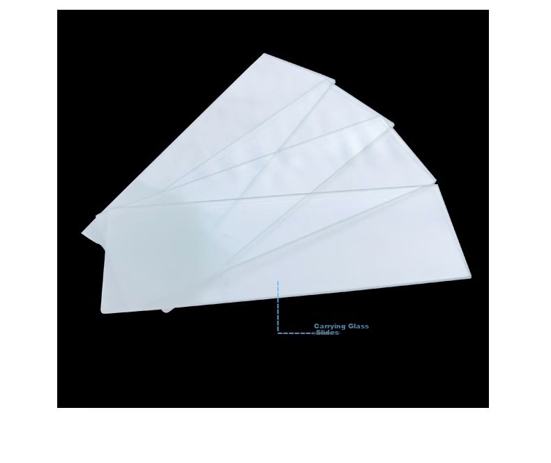 StarMICRO Frosted Glass Slide 7105, Temporary Sliding Preparation for Microscope Specimen, Blank Slides for Laboratory Consumables 5