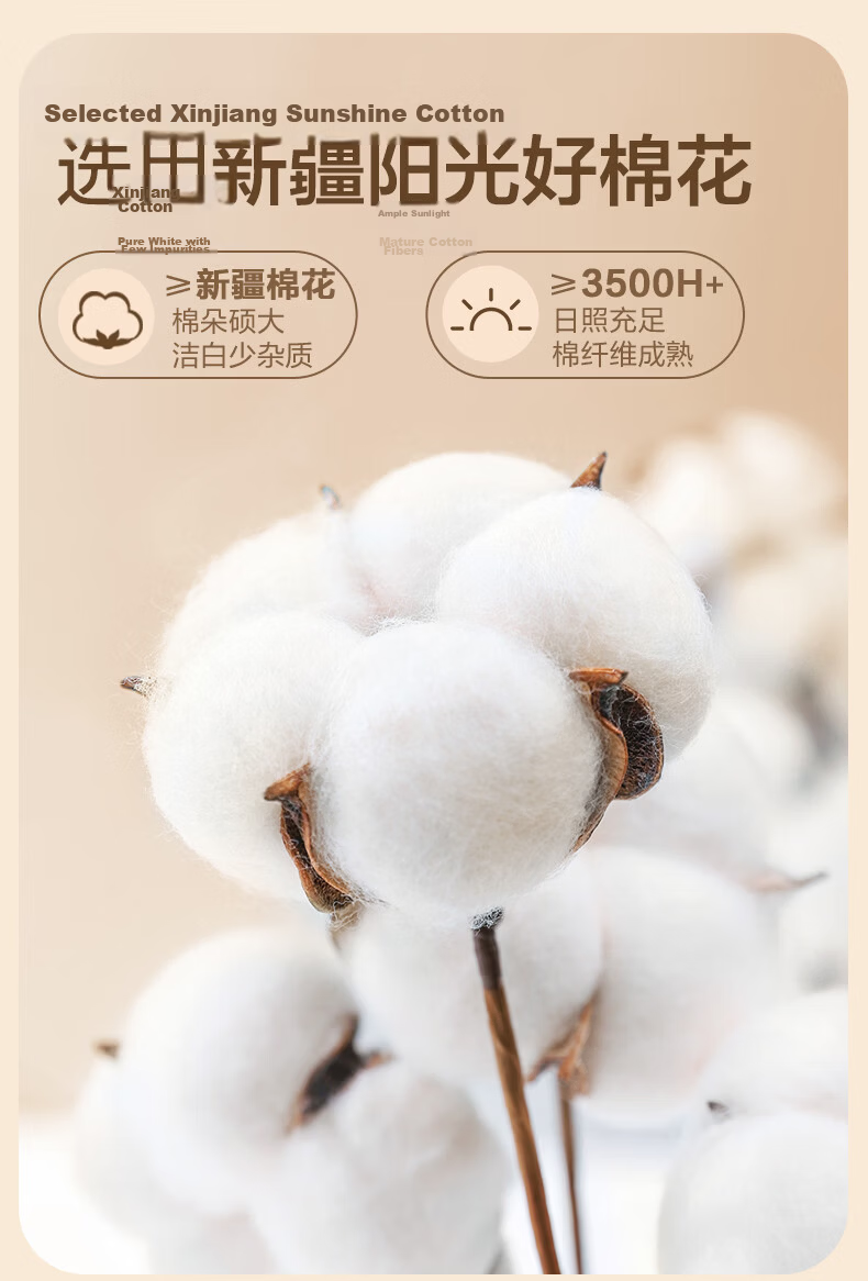 Boyang Home Textile 100% Xinjiang Cotton Mattress Pad Quilt All Cotton Washable Mattress Cover Shaojin Fitted Sheet Style 180*200cm 11