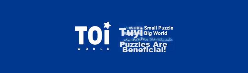 TOI Puzzle Accessories, Square 300-Piece Flat Frame, Natural Wood Color, 35*35cm - without Cardboard Backing 1