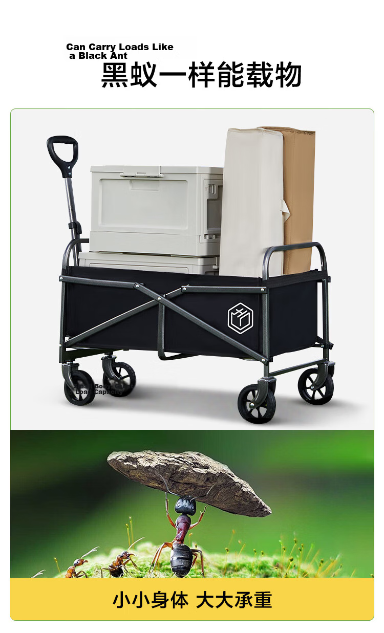JD Original Mini Children's Camping Cart, Outdoor Camping Cart, Foldable And Washable, Small Pushcart, Pull Cart, Little Dinosaur 7