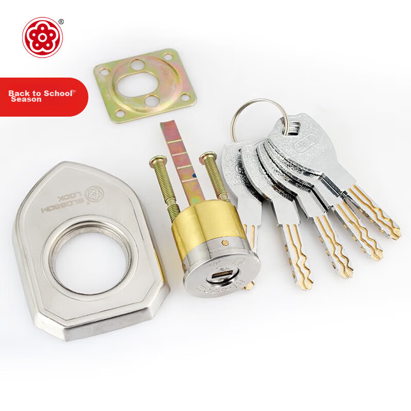 BLOSSOM Exterior Door Lock Cylinder C-Level Old-Style Iron Door Wooden Door Security Lock DFP03