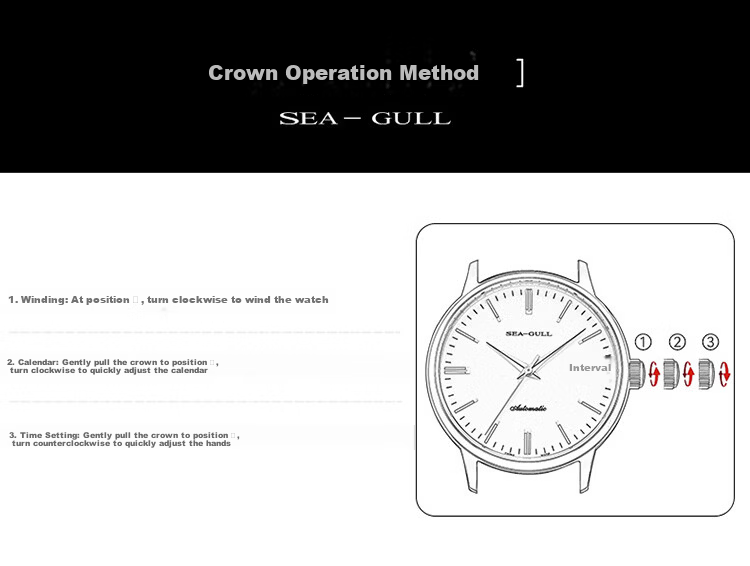 SEAGULL Men's Automatic Mechanical Watch with Date Display, Steel Strap Men's Watch, Birthday Gift for Men, Model 6613 White Dial Roman Numeral 31