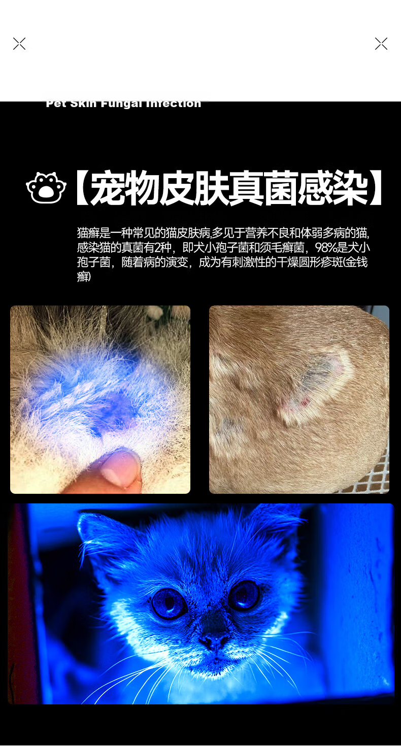 LEM Wood's Lamp UV Light 365nm Ultraviolet Flashlight for Fruit, Vegetable, Cat Ringworm Detection, Currency Verification, and Alcohol Inspection Laser Pen 10