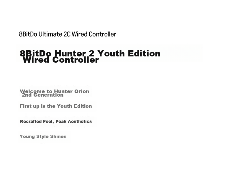 8BitDo Hunter 2 Youth Edition Wireless Dual Hall Sensor Game Controller for PC, Steam, Android - Monster Hunter Rise, Arknights Zero, Pokemon Legends: Arceus 4