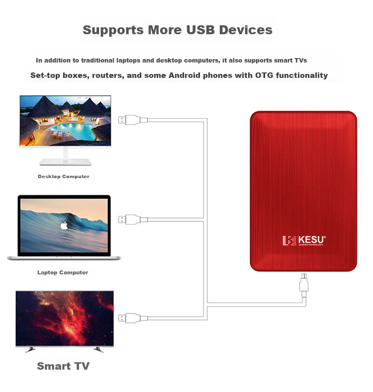 KESU 1TB Portable Hard Drive Large Capacity Dual Disk Backup USB3.0 External Mechanical Hard Drive Massive Storage Phone Connection 2.5-Inch Family Storage 7