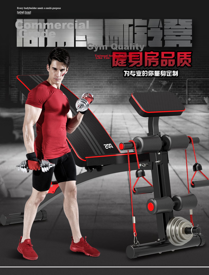 DDS Dumbbell Bench, Fitness Bench Press Chair, Fly Bench, Multifunctional Sit-Up Fitness Equipment, Training Machine DDS201 1