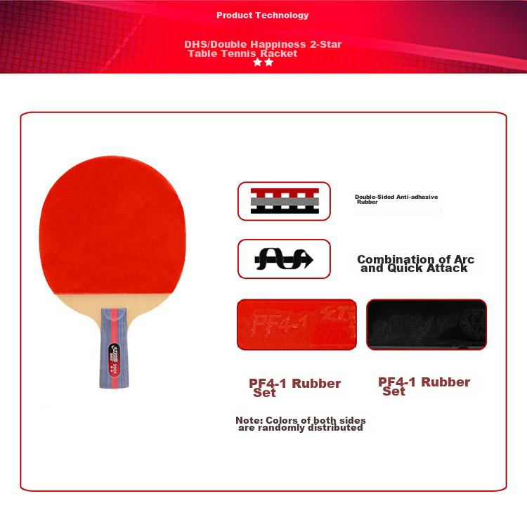 DHS Table Tennis Racket, Two-Star Straight Handle, Single Racket F2006, Includes Racket Case + Ping Pong Ball 4