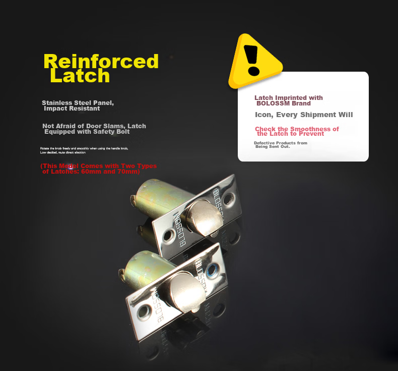 BLOSSOM Stainless Steel Spherical Lock Universal Indoor and Outdoor Wooden Door Lock Model 587 4