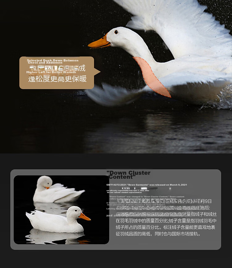 Demana [Milk Ball First Snow] Women's Winter High Warmth 90% Duck Down Quilted Tape Edge Down Jacket 10