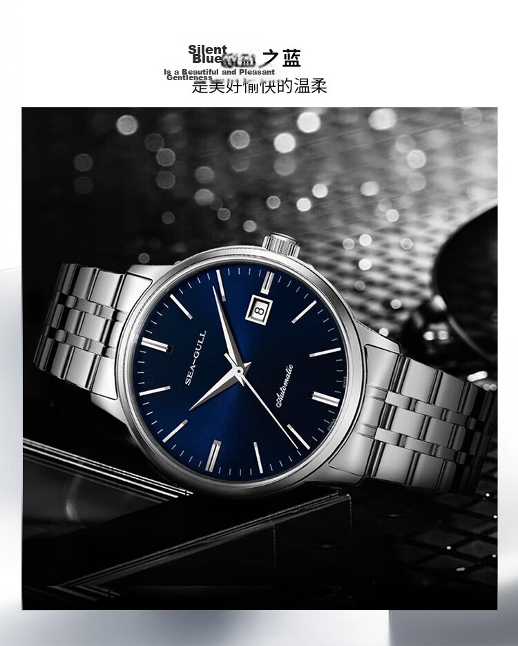 SEAGULL Men's Automatic Mechanical Watch with Date Display, Steel Strap Men's Watch, Birthday Gift for Men, Model 6613 White Dial Roman Numeral 24