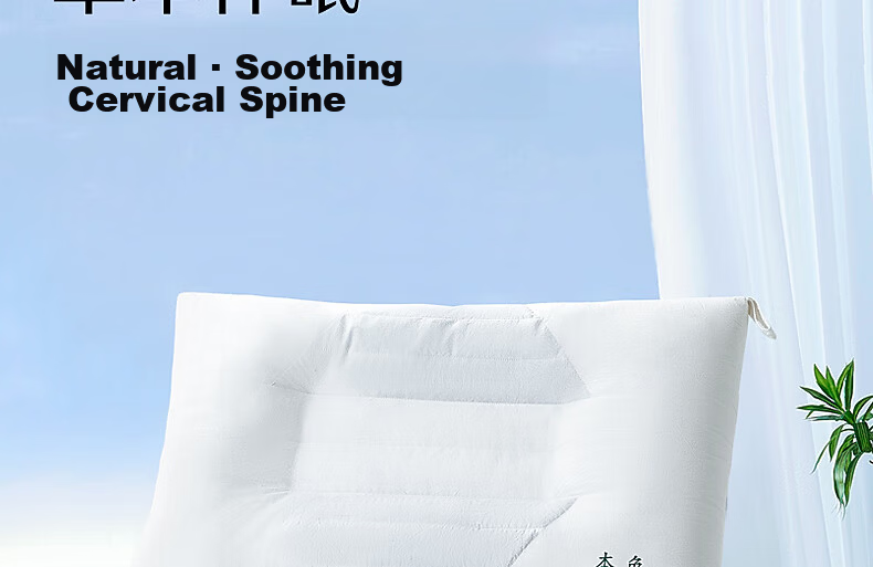 Shuixingjiafang Pillow with Buckwheat Hull And Cassia Seed, Class A Neck Support Hard Pillow Core, Ergonomic Cervical Spine Relief, Antibacterial Medium Pillow 2