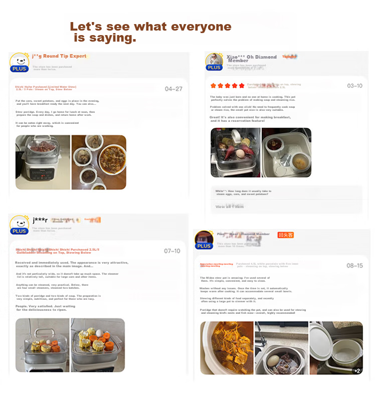 Midea Electric Stew Pot, Steamer Pot, Cooking Pot, Baby Food Steaming And Stewing All-In Electric Stew Cup, Soup Pot, Non-Coated Stainless Steel Electric Hot Pot, Baby Food Pot, Porridge Cooker, Double Boiler, Direct Stewing Soup Pot DZE1088 1