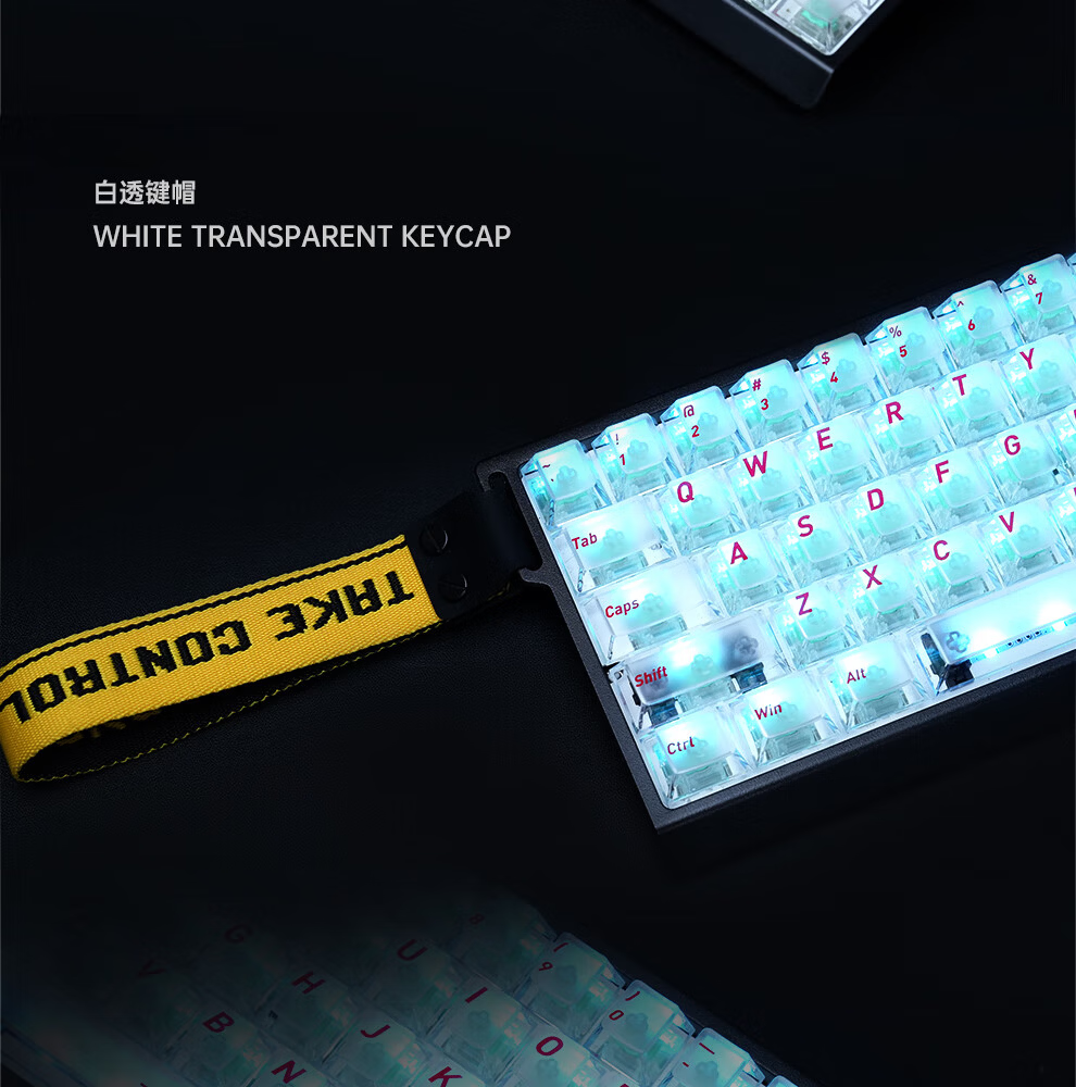 Zhenhuo Gaming Foggy Transparent Keycaps Transparent Wooting Little Bee Made68/75 Mechanical Magnetic Axis Keyboard Custom Side-Engraved 94 Keys - Purple 20