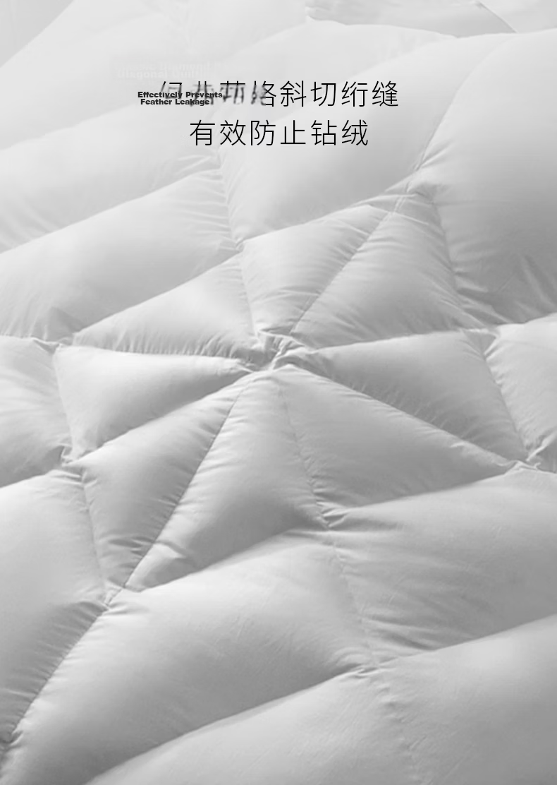 Canasin AFree Pure down Comforter, 95% Down, 120S Winter Duvet, Goose down Quilt, Weight 2.1 Jin, 200*230cm, White 16