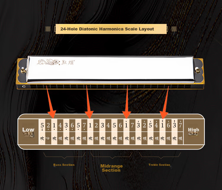 Dunhuang 24-Hole Polyphonic Harmonica DN24-1, Black, Recommended for Adult Beginners, Key of C, Entry-Level Performance 11