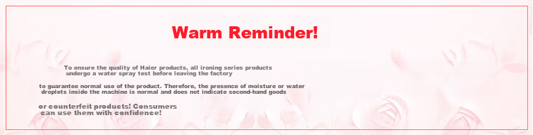 Haier Vertical Garment Steamer 35g Steam Output 2.4L Water Tank Dual Rod Handheld Iron High Power Steamer HY-GSS2408G 2