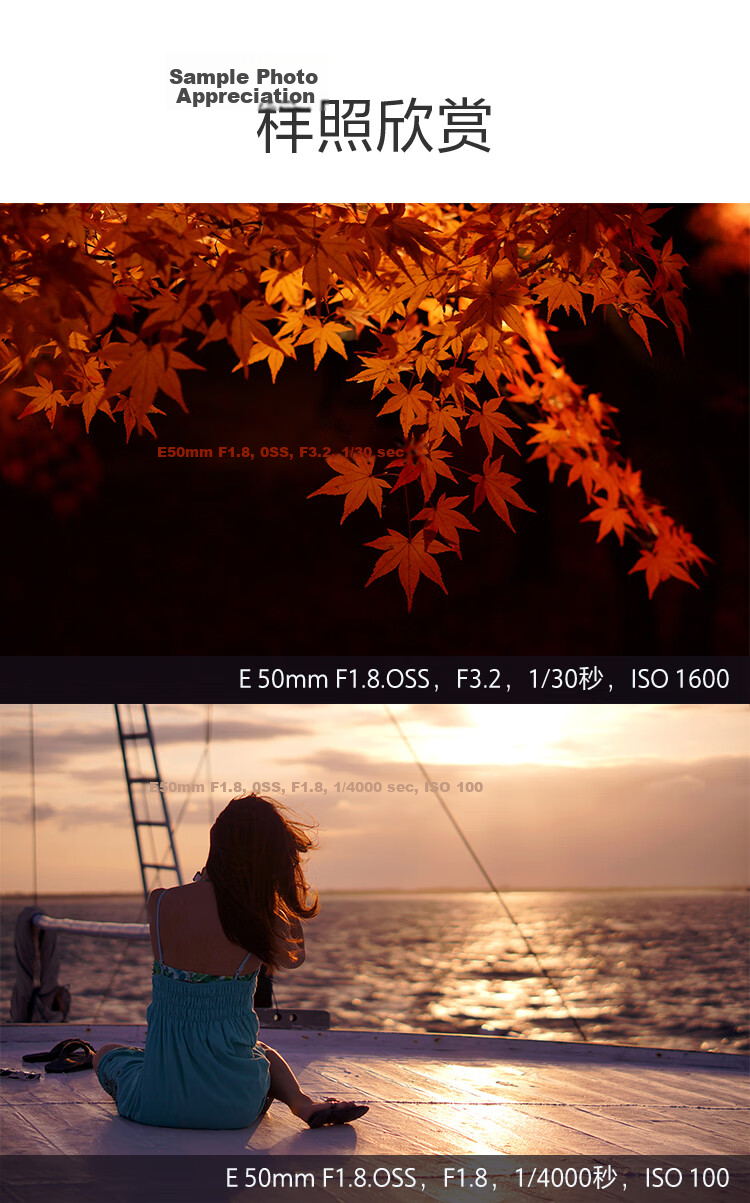 SONY E PZ 18-105mm F4 G OSS APS-C Format Standard Zoom Mirrorless Camera G Lens SELP18105G 14