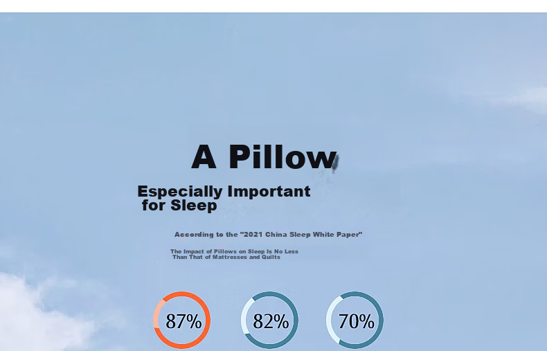Shuixingjiafang Pillow with Buckwheat Hull And Cassia Seed, Class A Neck Support Hard Pillow Core, Ergonomic Cervical Spine Relief, Antibacterial Medium Pillow 4
