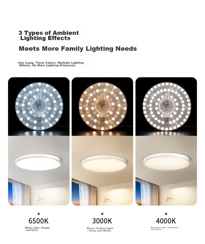 FSL Foshan Lighting LED Lamp Core Replacement Magnetic Suction Lamp Panel SMD Retrofit Lamp Board Energy-saving Round Tube 22W/Daylight White φ155mm with Terminal Block 7