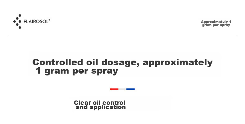 FLAIROSOL Spray Bottle, Dutch Patent Atomizing Oil Sprayer, Air Fryer Household Kitchen Oil Control Spray Bottle, Olive Oil Bottle 2