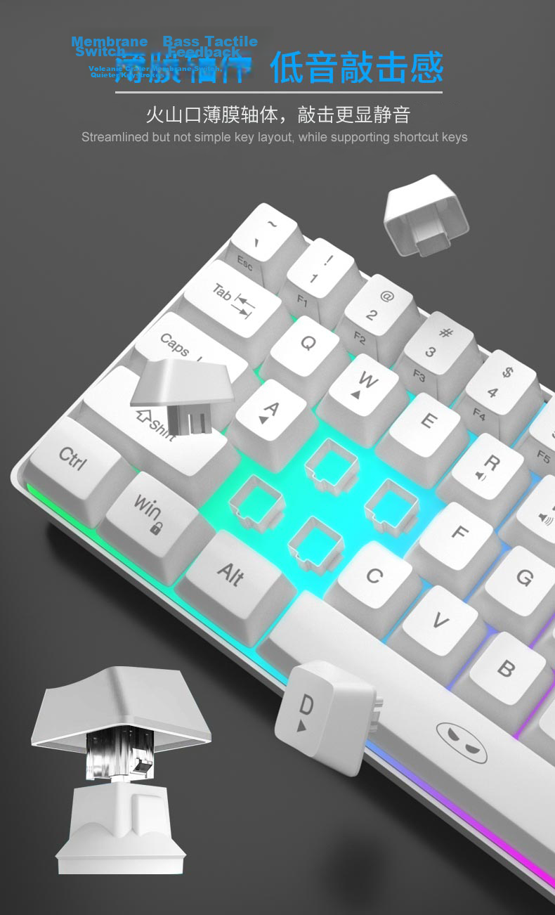 MageGee TS91 Wired Mini Keyboard RGB Backlit Mechanical Feel Gaming Keyboard 61-Key Portable Membrane Keyboard for PC Laptop White 6