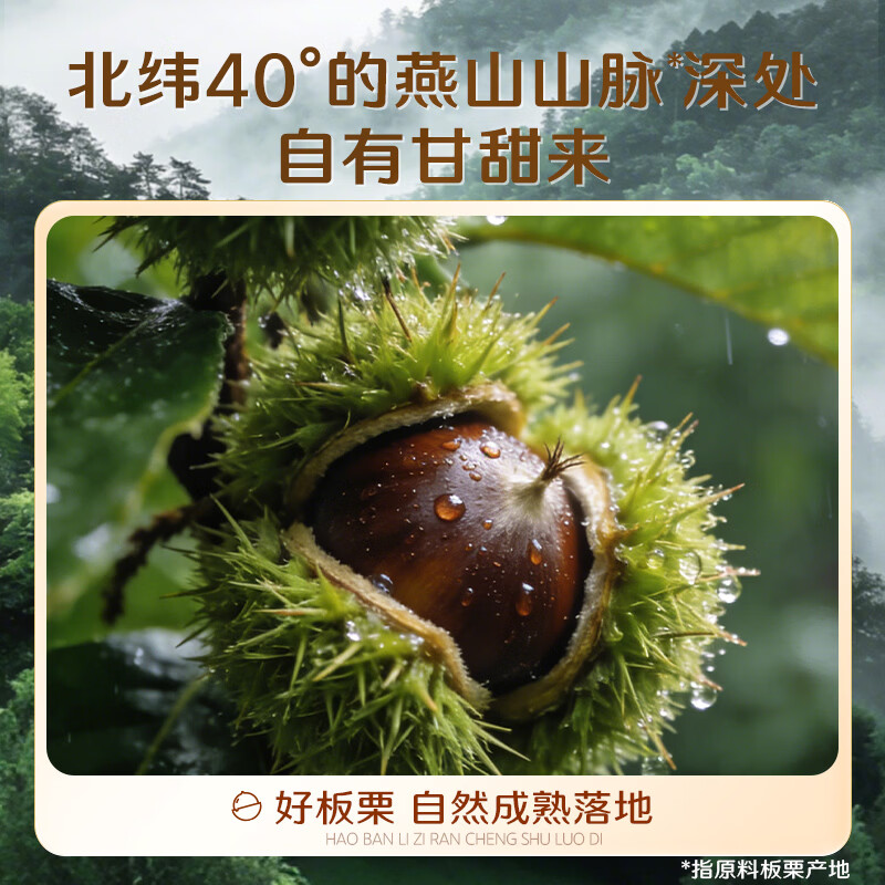 百草味甘栗仁80g/袋 栗子干果休闲零食每日坚果炒货特产熟板栗坚果仁