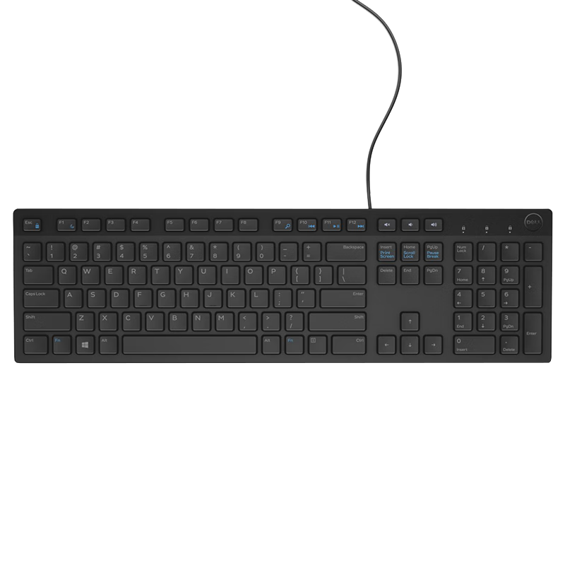 DELL KB216 Wired Business Office Keyboard Full-Size Silent USB Plug and Play Spill-Resistant Keyboard for Laptop Desktop (Black)