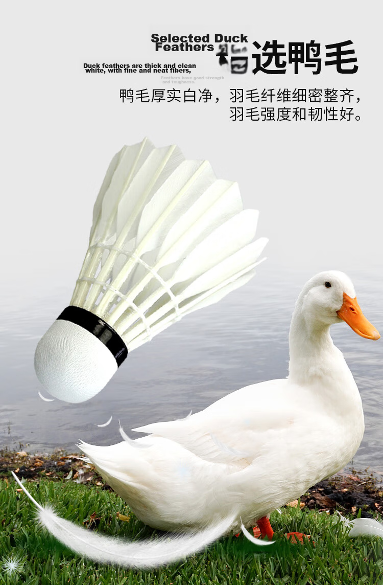 Li-Ning New Badminton C50 Duck Feather Shuttlecock for Training And Competition, Durable And Stable Flight AYQR047-77 4