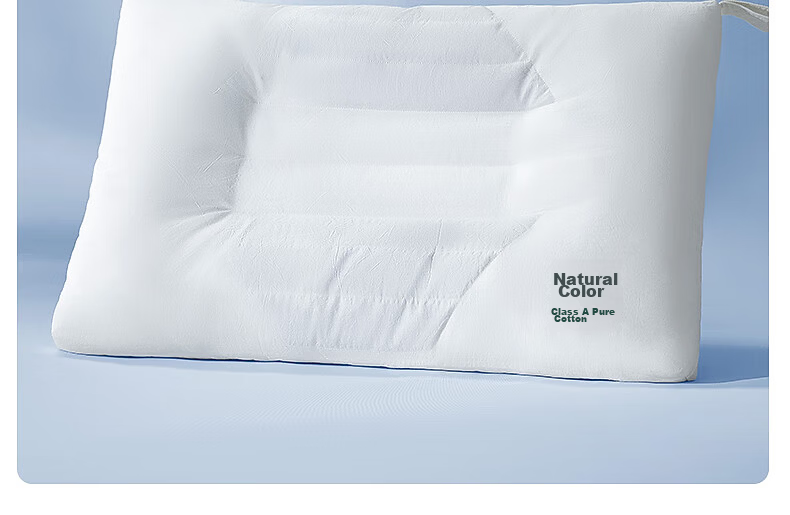 Shuixingjiafang Pillow with Buckwheat Hull And Cassia Seed, Class A Neck Support Hard Pillow Core, Ergonomic Cervical Spine Relief, Antibacterial Medium Pillow 10