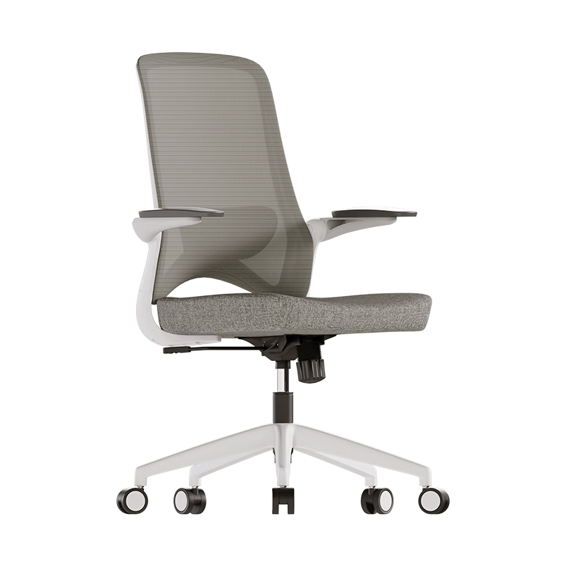 AURORA CELTW Dolphin Computer Chair, Office Chair with Adjustable Mid-Back, Swivel Armrests And Reversible Backrest