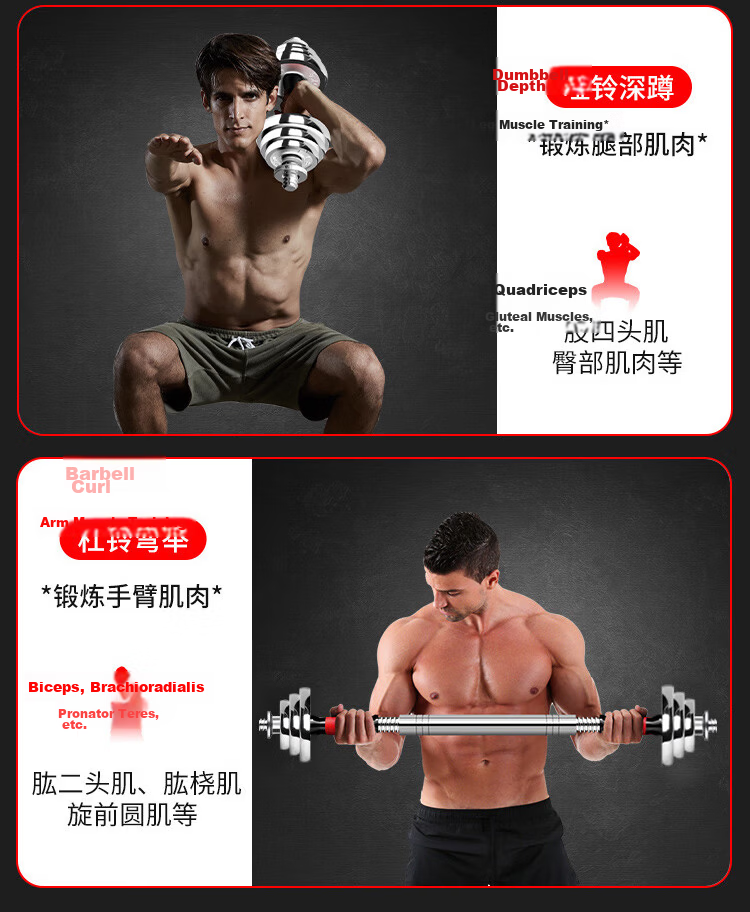 Chengyue Electroplated Dumbbell Barbell 20kg Adjustable Detachable Fitness Equipment Set CY-025 for Men and Women 25