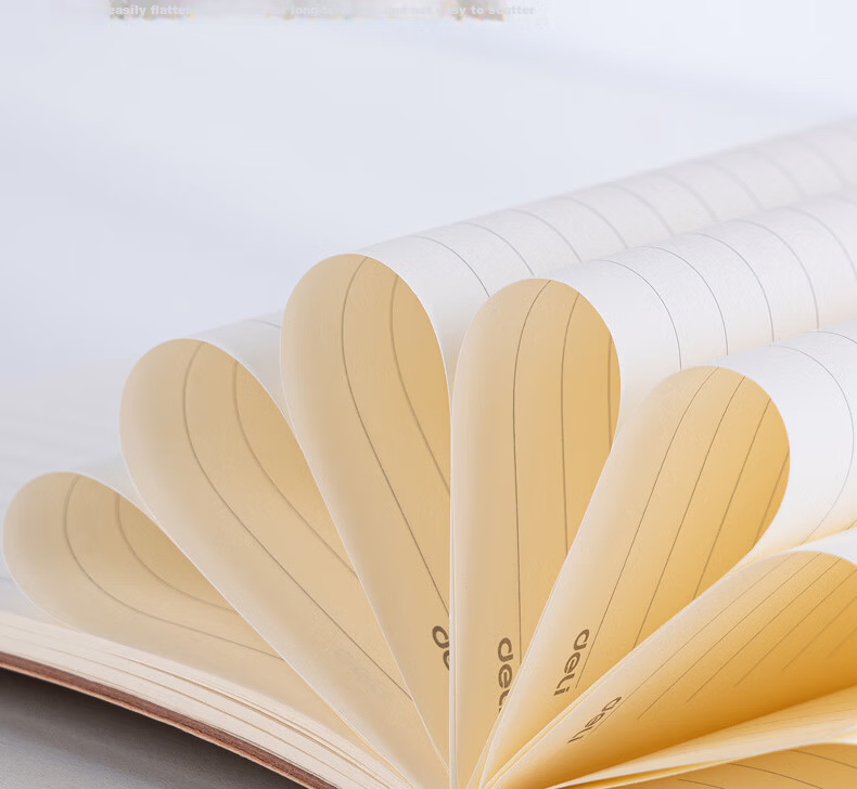 Deli Customizable Notebook Fashionable Leather Cover Business Soft Sheepskin Diary Thickened Meeting Notes A5/80 Sheets Green BP107 5