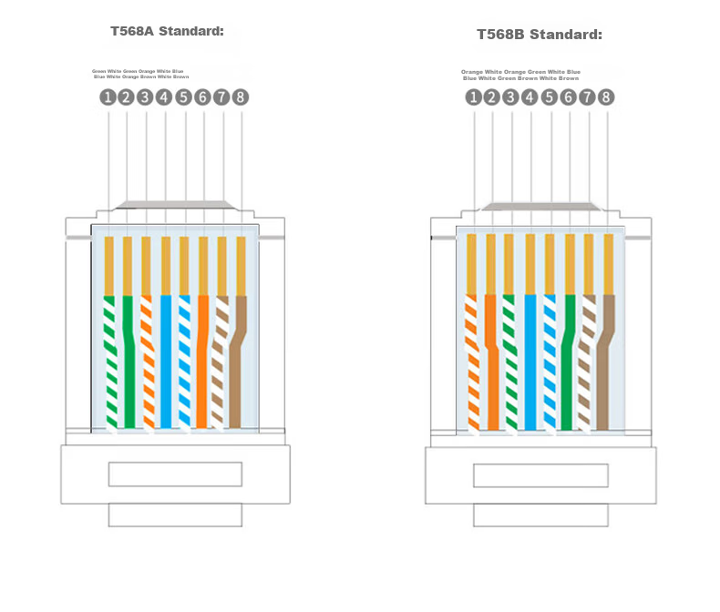 UGREEN CAT6 Shielded RJ45 Connectors, Gigabit Ethernet Network Plugs, 50U Gold-Plated Professional-Grade RJ45 Computer Network Cable Connectors, Two-Piece CAT6 Connectors, 10 Pieces, 20842 28