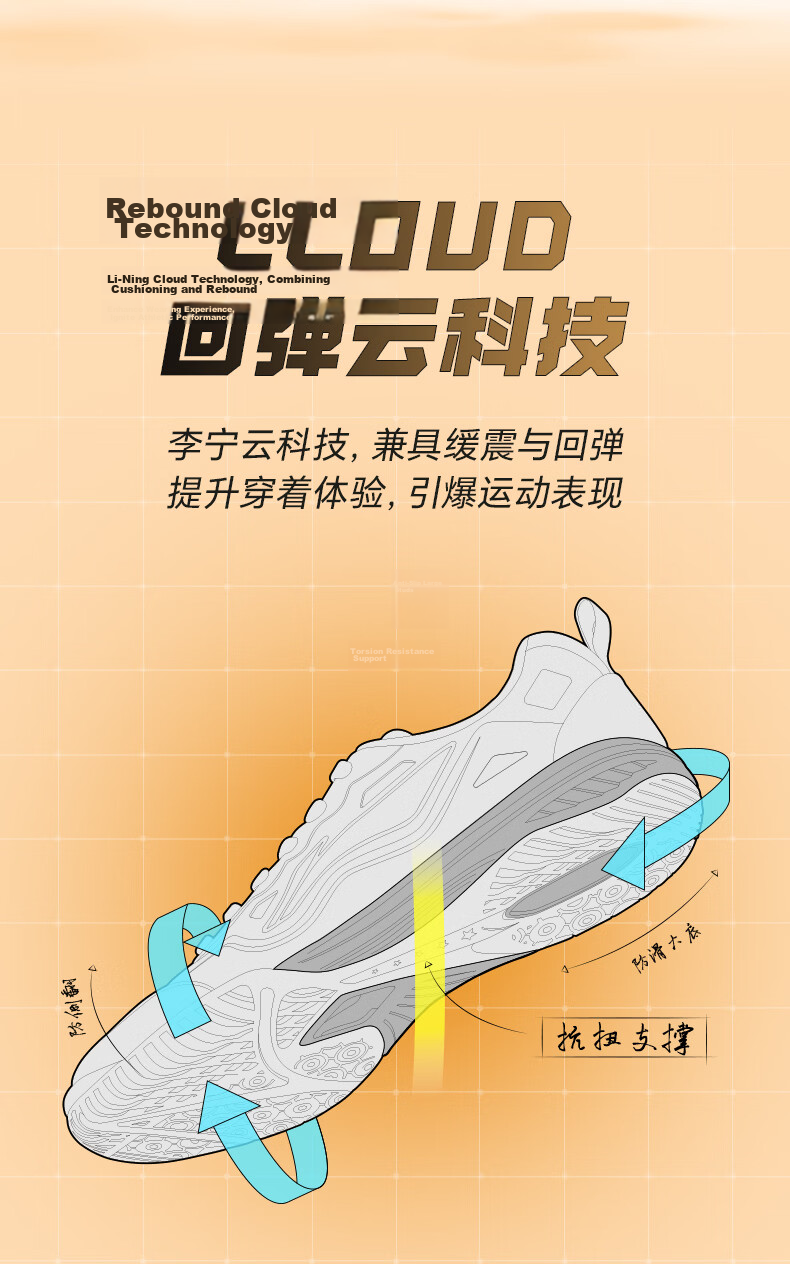 Li-Ning Table Tennis Shoes for Men And Women, Sports Shoes for National Teams, Specialized Table Tennis Shoes with Breathable Non-Slip Desig 5