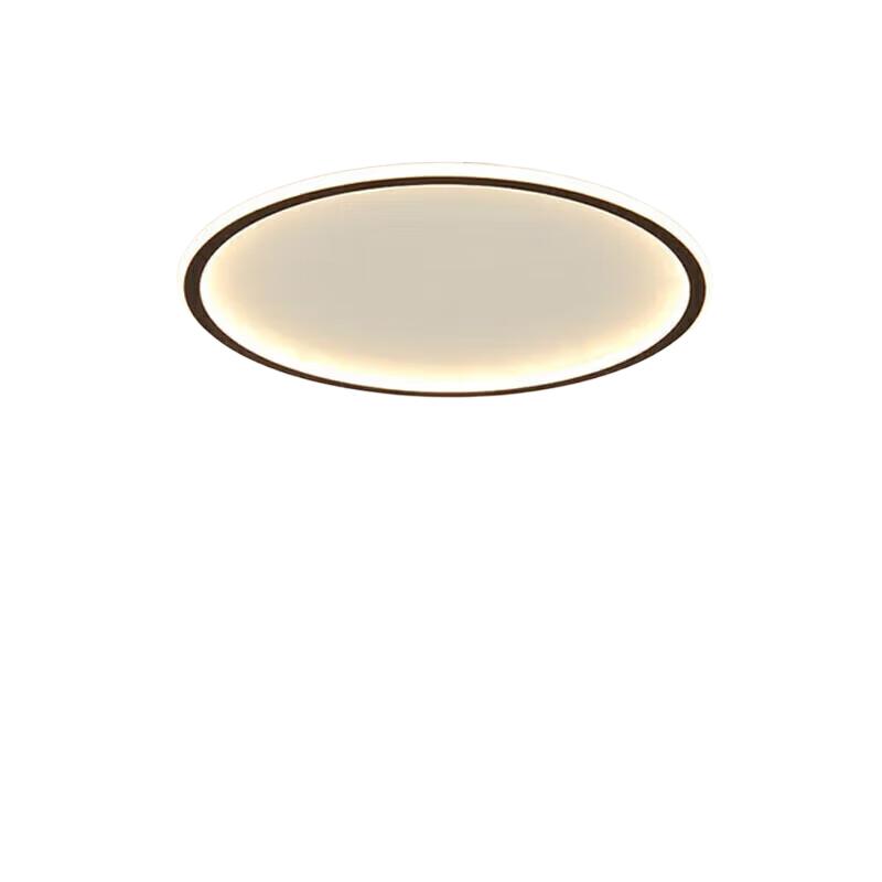 Dengling Minimalist Bedroom Ceiling Light, Full Spectrum Eye Protection, Anti-Blue Light, Ultra-Thin Round Nordic Simple Lighting Fixture