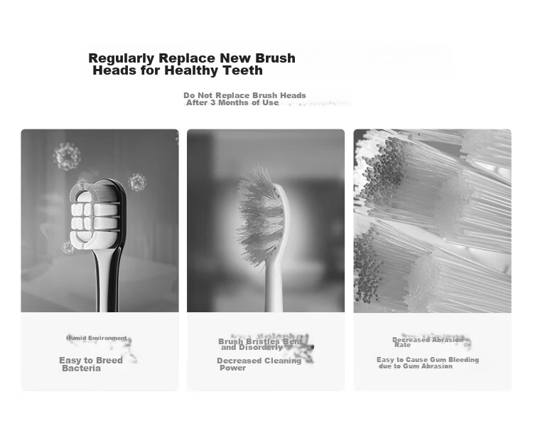 Hongmengzhixuan Libode Intelligent Sonic Toothbrush Ice Mountain Model Brush Head, Standard Type, 2-Pack, White 2