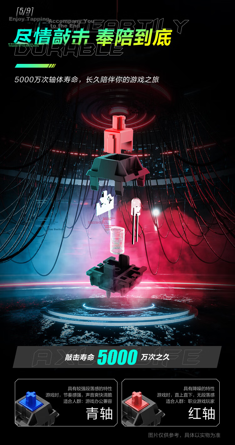 ThundeRobot Wired Mechanical Gaming Keyboard KG3089R Red Switch RGB Backlit 89-Key Anti-Ghosting for Esports CS Home Office PUBG Valorant CS2 7