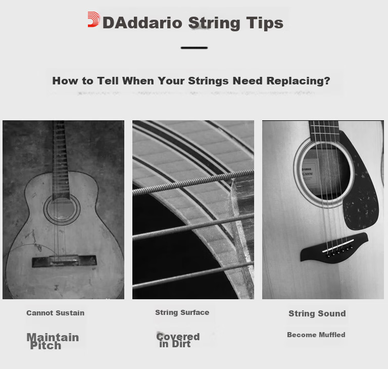 D'Addario EJ16 American Imported Acoustic Guitar Strings Carbon Steel Phosphor Bronze 12-53 Set 23